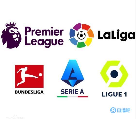 迷的目光 迷的目光